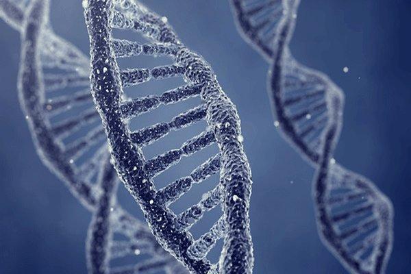 محققان ژنهای 5 نوع سرطان را خاموش کردند