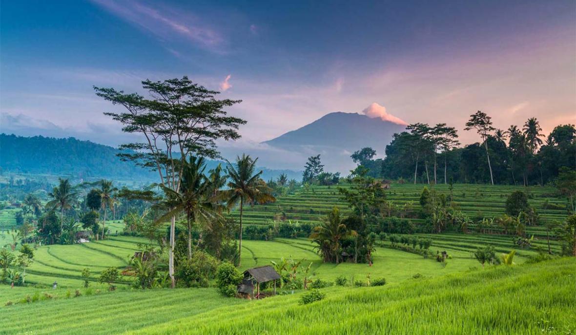 هتل دلخواه خود را در بالی انتخاب کنید