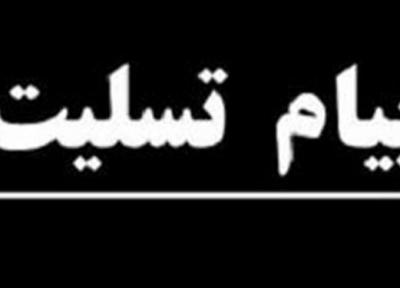 وزیر علوم درگذشت سیدمحمد کاظم نائینی را تسلیت گفت