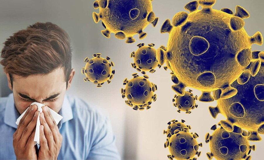 ویروس کرونا ممکن است مراکز یادگیری دستگاه ایمنی را مختل کند