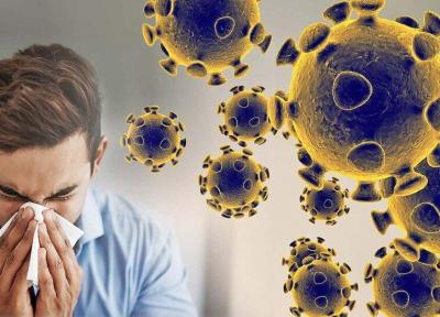 ویروس کرونا ممکن است مراکز یادگیری دستگاه ایمنی را مختل کند
