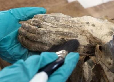 کشف مومیایی 800 ساله