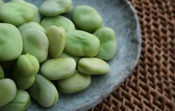 خواص باقالی برای بدن (راهنمای سلامت) خواص باقالی برای بدن (راهنمای سلامت)