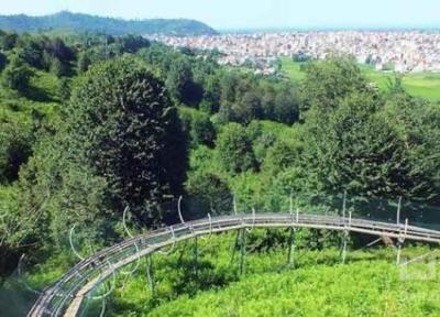 یک روز مجذوب کننده در پارک های جنگلی تهران